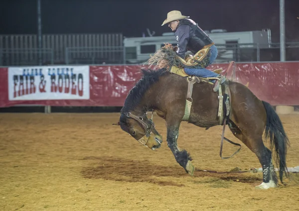 La fiera della contea di Clark e il Rodeo — Foto Stock