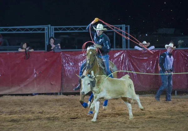 Kirmes und Rodeo — Stockfoto