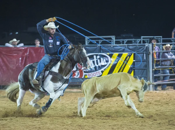 Clark county fair a rodeo — Stock fotografie