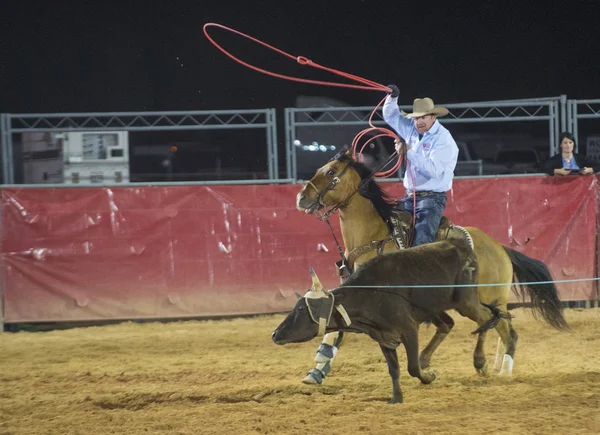 Kirmes und Rodeo — Stockfoto