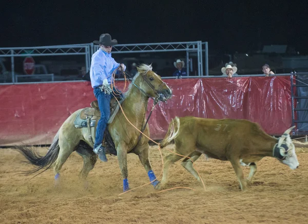 Clark County Fair and Rodeo — Stock Photo, Image