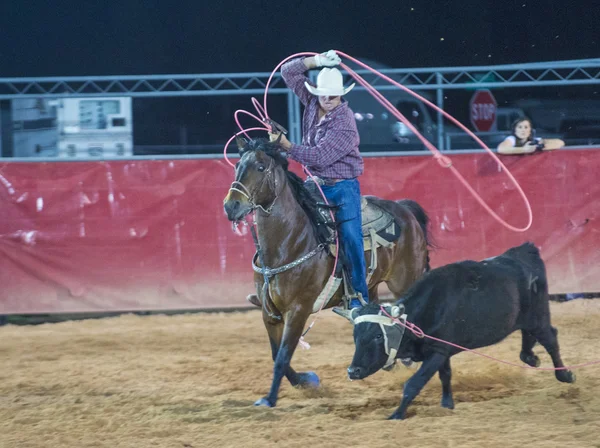 Kirmes und Rodeo — Stockfoto