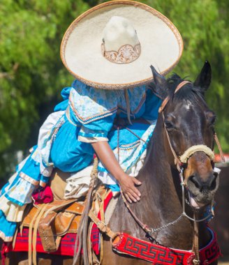 San Diego - Cinco De Mayo