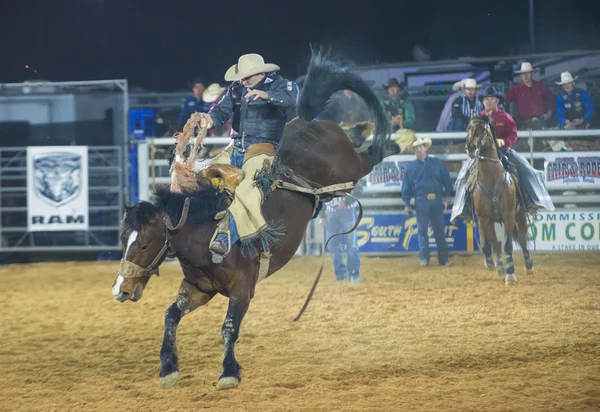 Clark county fair och rodeo — Stockfoto