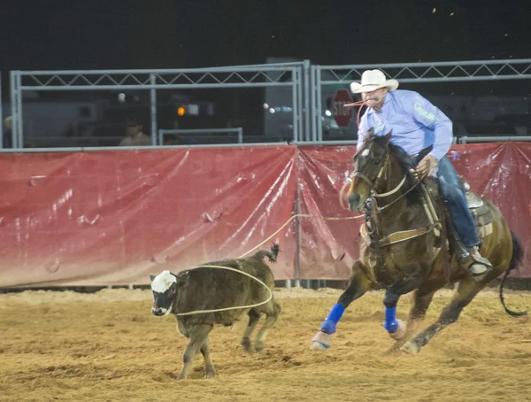 Clark county fair och rodeo — Stockfoto