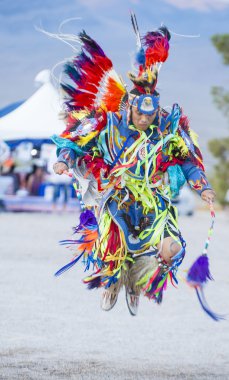 Paiute kabile arabulucu 