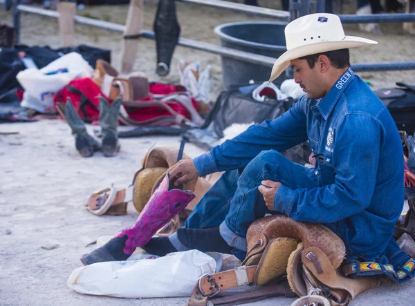 Hari Helldorado rodeo — Stok Foto