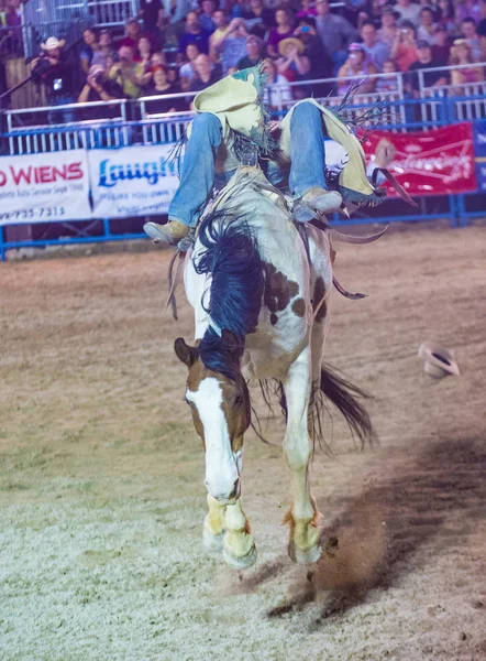 Helldorado dagen rodeo — Stockfoto