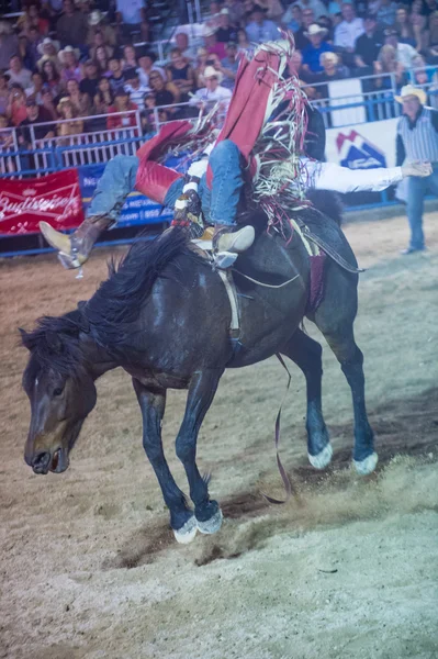 Helldorado dagen rodeo — Stockfoto