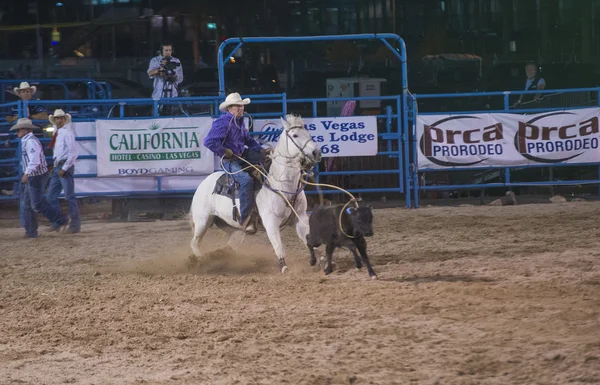 Helldorado days Rodeo — Stock Photo, Image