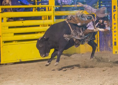 Helldorado gün rodeo