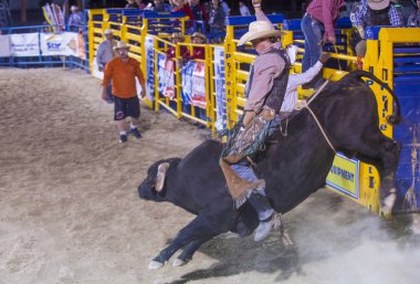 Helldorado gün rodeo