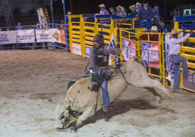 Helldorado gün rodeo