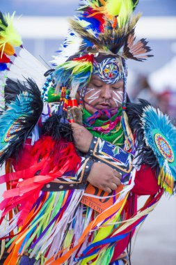 Paiute kabile arabulucu 