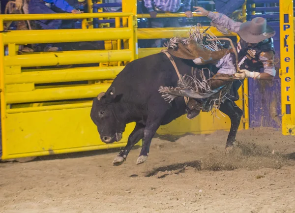 Helldorado dagen rodeo — Stockfoto