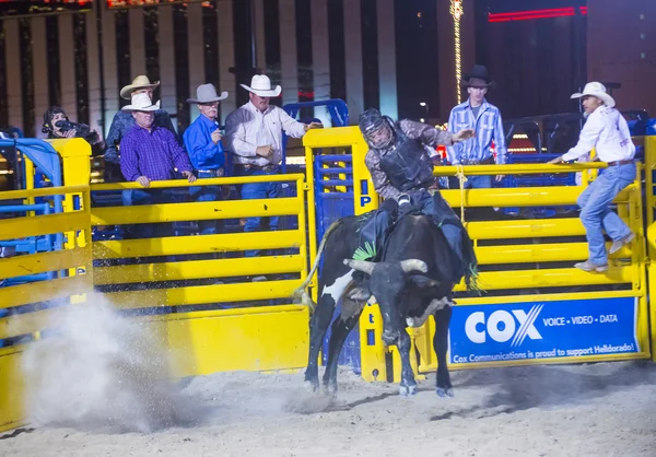 Helldorado days Rodeo — Stock Photo, Image