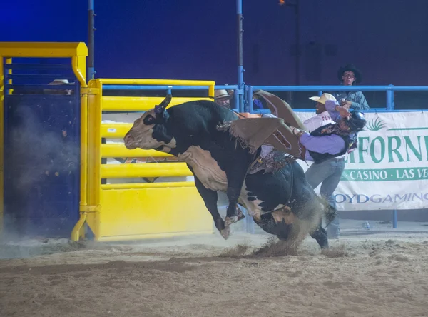 Helldorado dagen rodeo — Stockfoto