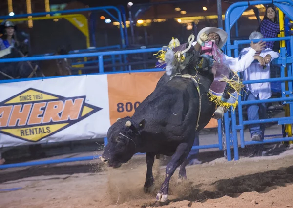 Helldorado days Rodeo — Stock Photo, Image