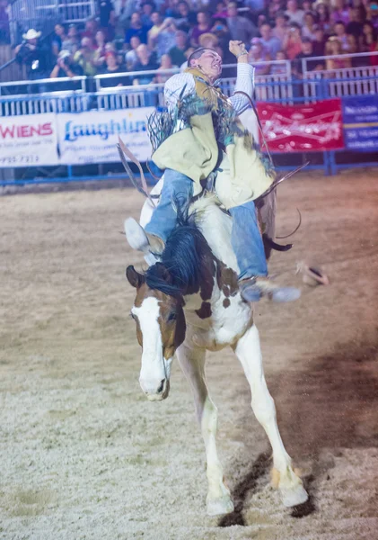 Helldorado dagar rodeo — Stockfoto