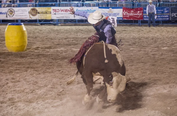 Helldorado dagen rodeo — Stockfoto