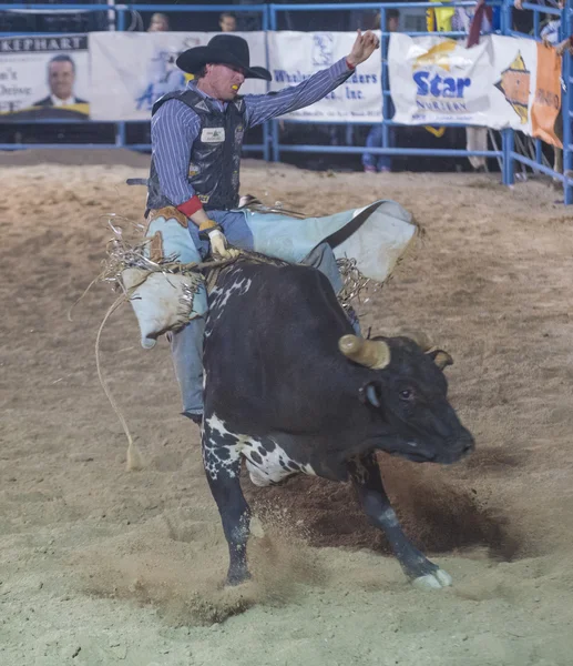 Helldorado dagen rodeo — Stockfoto