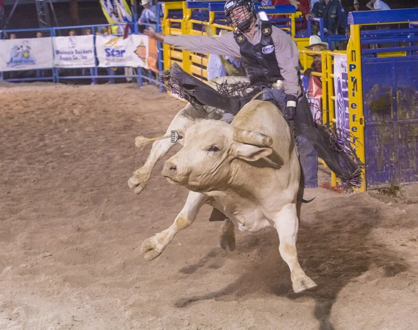 Helldorado dagen rodeo — Stockfoto