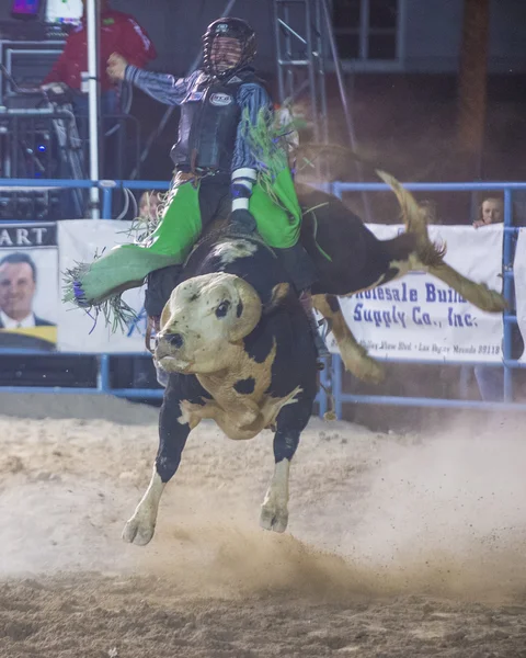 Helldorado dagen rodeo — Stockfoto