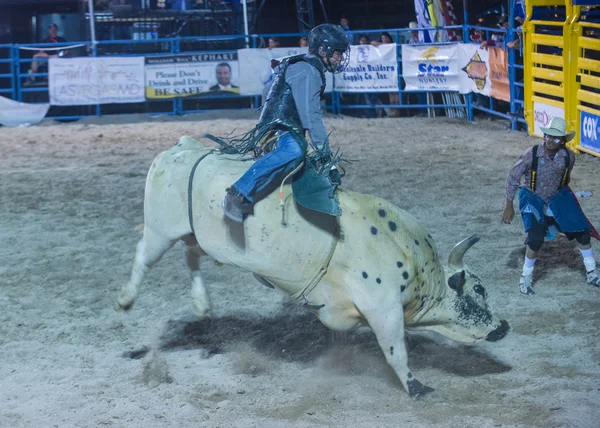 Helldorado days Rodeo — Stock Photo, Image
