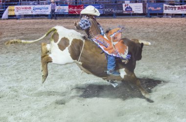 Helldorado gün rodeo