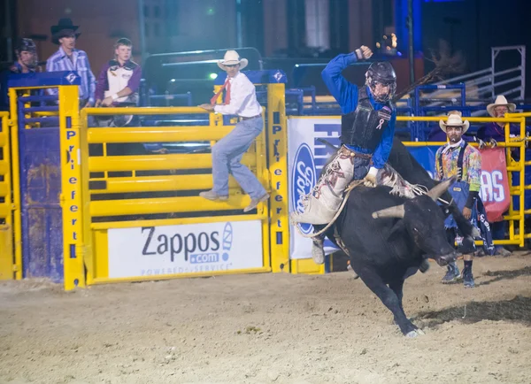 Helldorado días rodeo — Foto de Stock