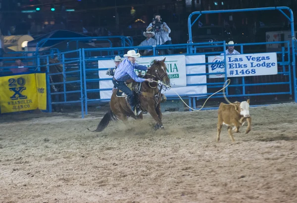 Giorni di Helldorado rodeo — Foto Stock