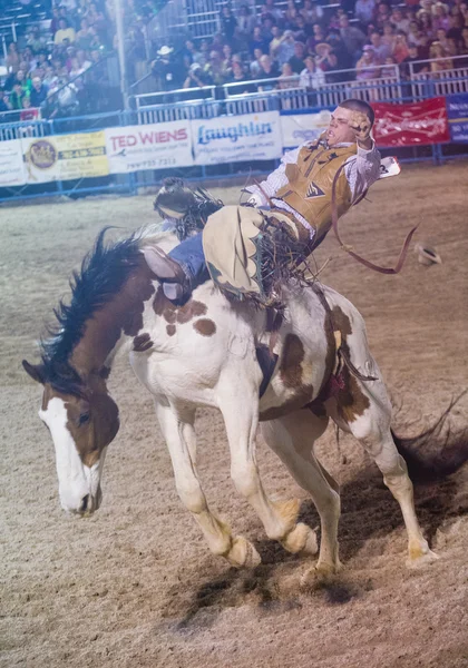 Giorni di Helldorado rodeo — Foto Stock