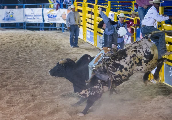 Helldorado dagen rodeo — Stockfoto