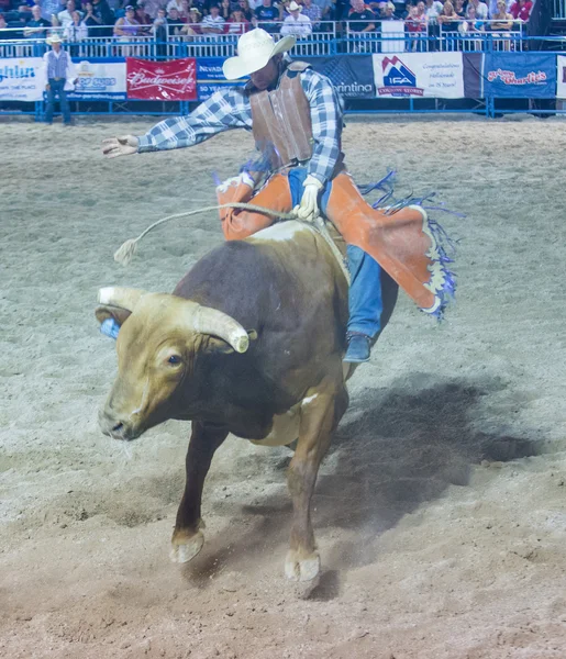 Helldorado napok rodeo — Stock Fotó