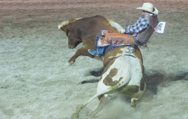 Helldorado gün rodeo