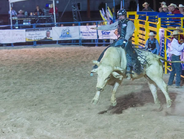 Helldorado dagen rodeo — Stockfoto