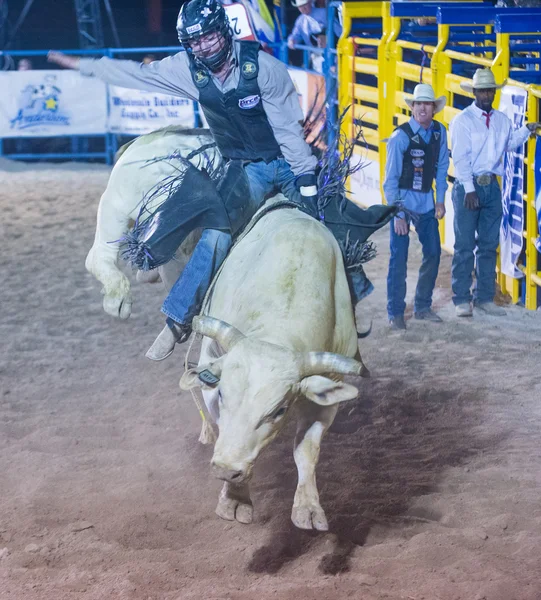 Helldorado dager rodeo – stockfoto