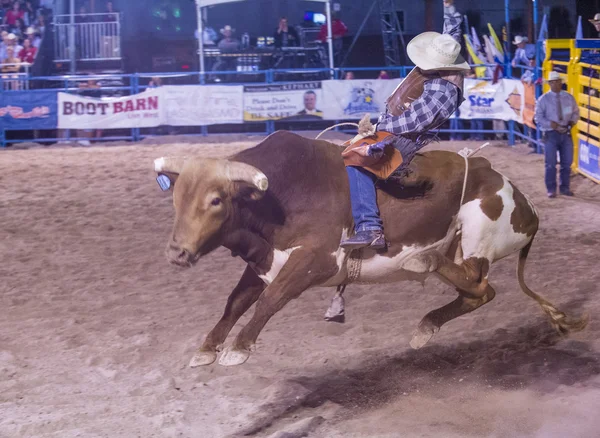 Helldorado dagen rodeo — Stockfoto