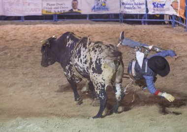 Helldorado gün rodeo