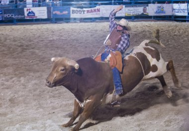 Helldorado gün rodeo