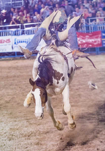 Helldorado dagen rodeo — Stockfoto