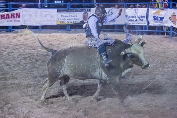 Giorni di Helldorado rodeo — Foto Stock