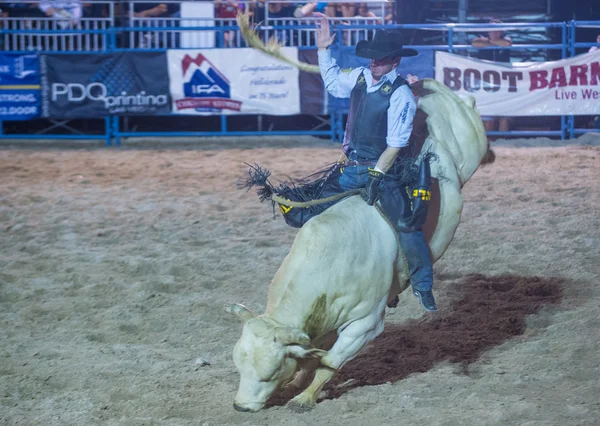 Helldorado dagar rodeo — Stockfoto