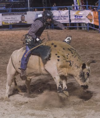 Helldorado gün rodeo