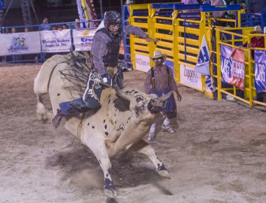 Helldorado gün rodeo