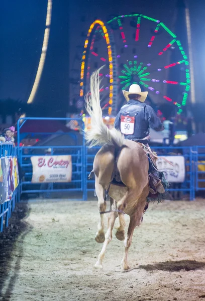 Helldorado napok rodeo — Stock Fotó