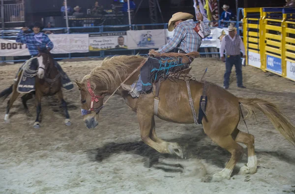 Helldorado dagar rodeo — Stockfoto