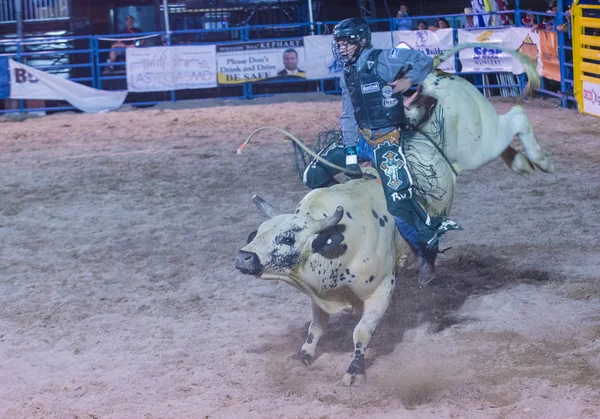 Helldorado dagar rodeo — Stockfoto