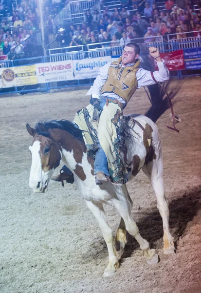 Helldorado dagen rodeo — Stockfoto