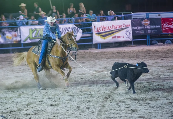 Helldorado dagen rodeo — Stockfoto